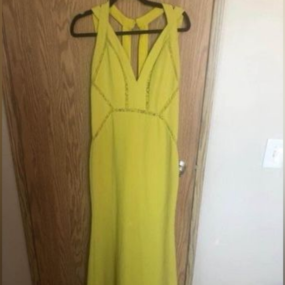 BCBG LONG LIME DRESS